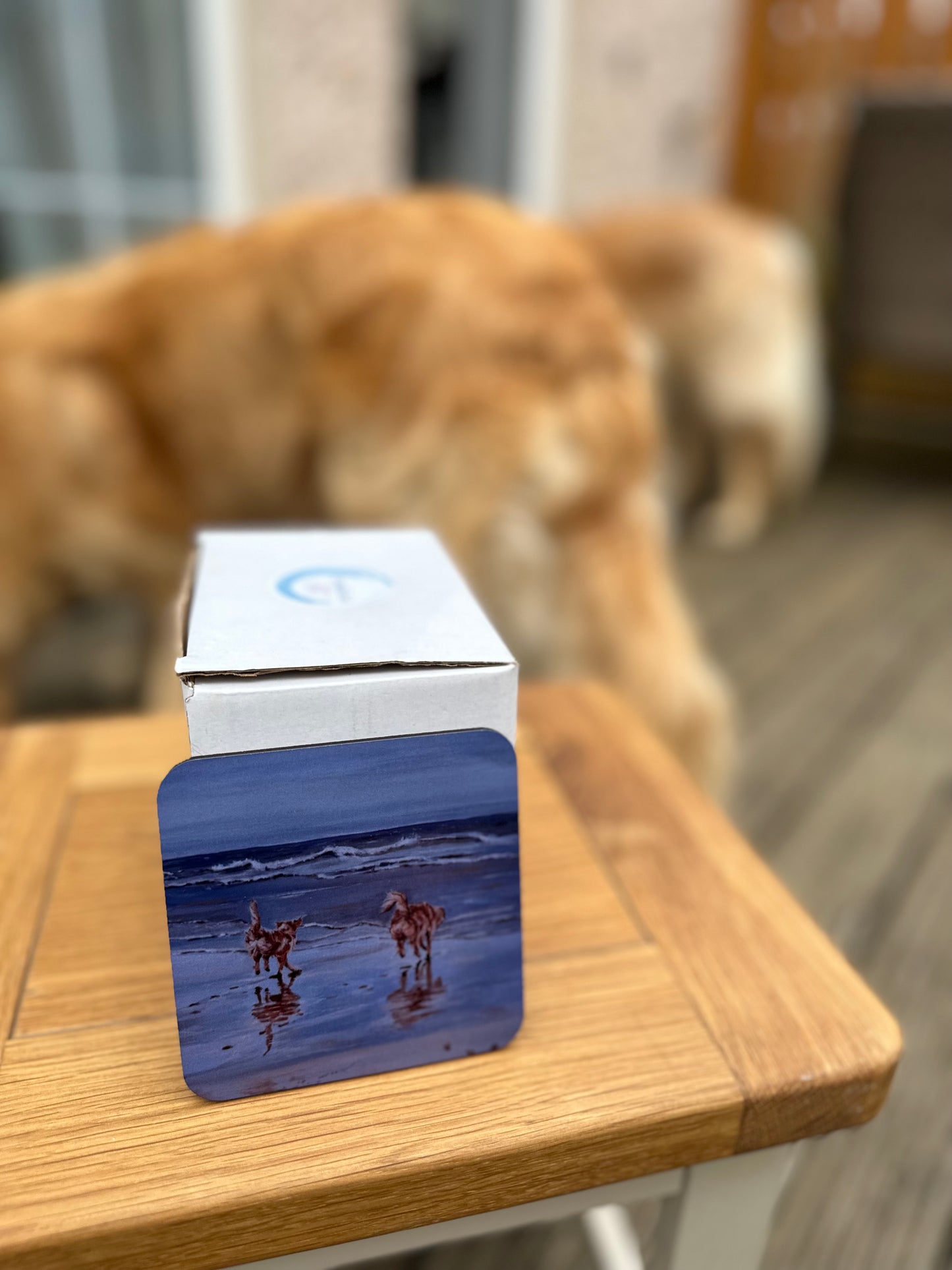 Retrievers Bottoms up, coaster set ,single coaster upright